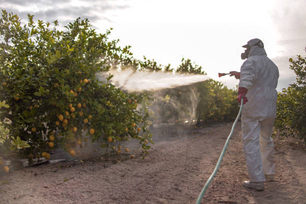 Best Local Pest Control Services  in Upland, PA