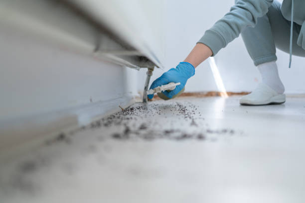 Best Wasp Removal Services  in Upland, PA