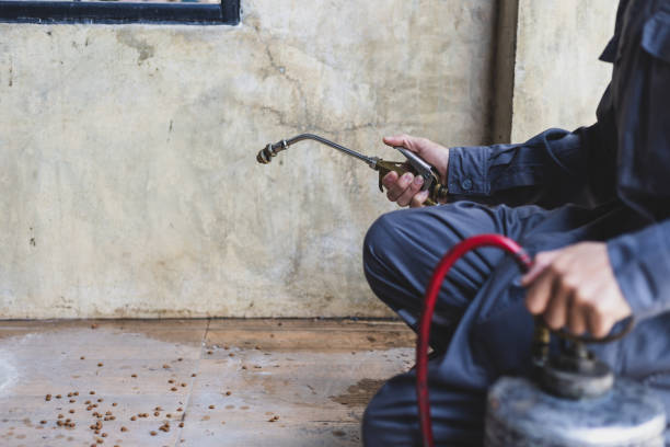 Best Mosquito Control Services  in Upland, PA